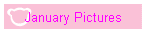 January Pictures